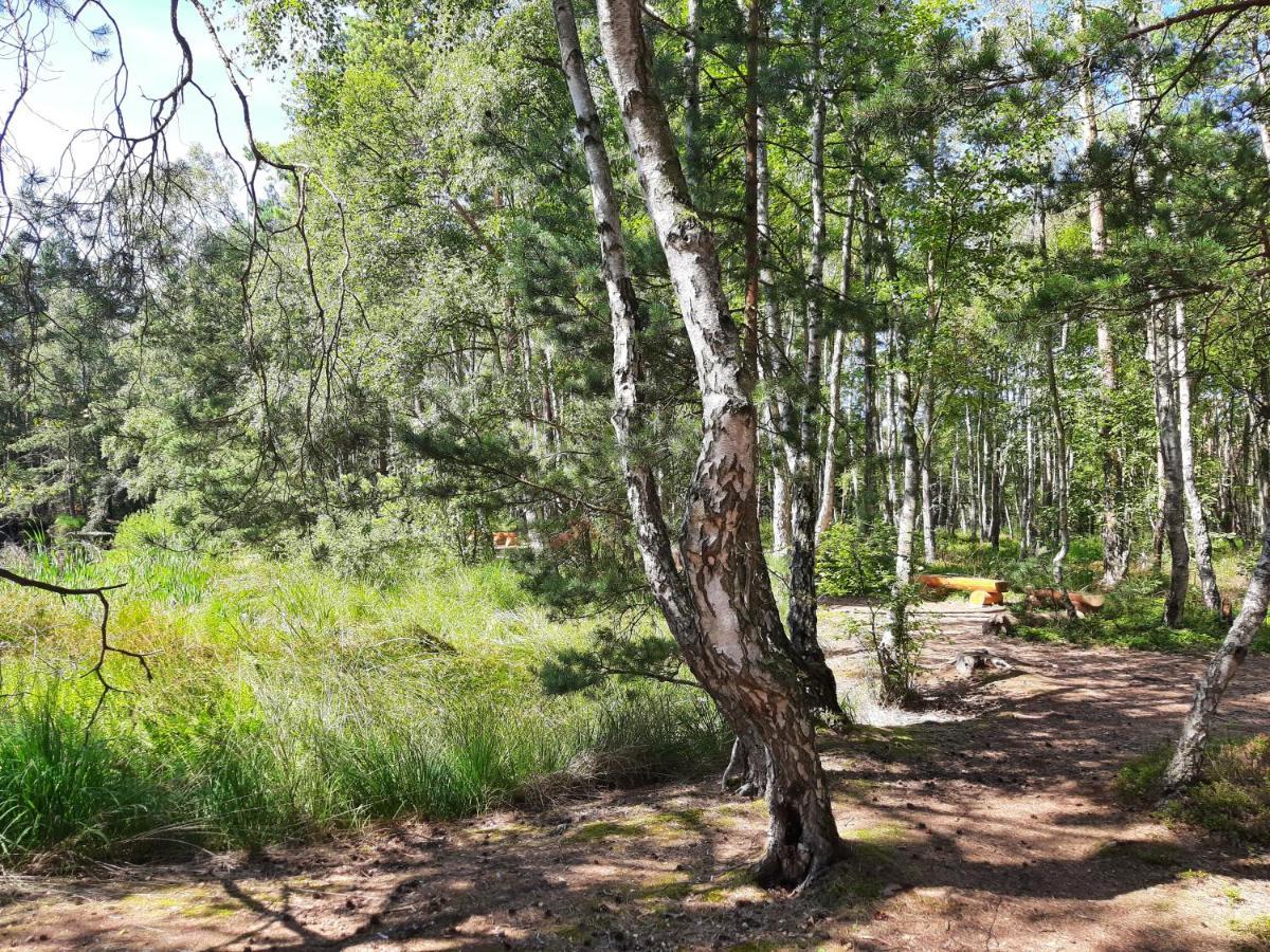 Ferienwohnung Fledermaus Gelbensande Kültér fotó