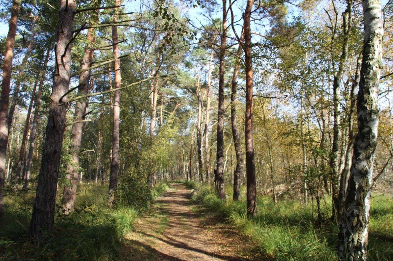 Ferienwohnung Fledermaus Gelbensande Kültér fotó