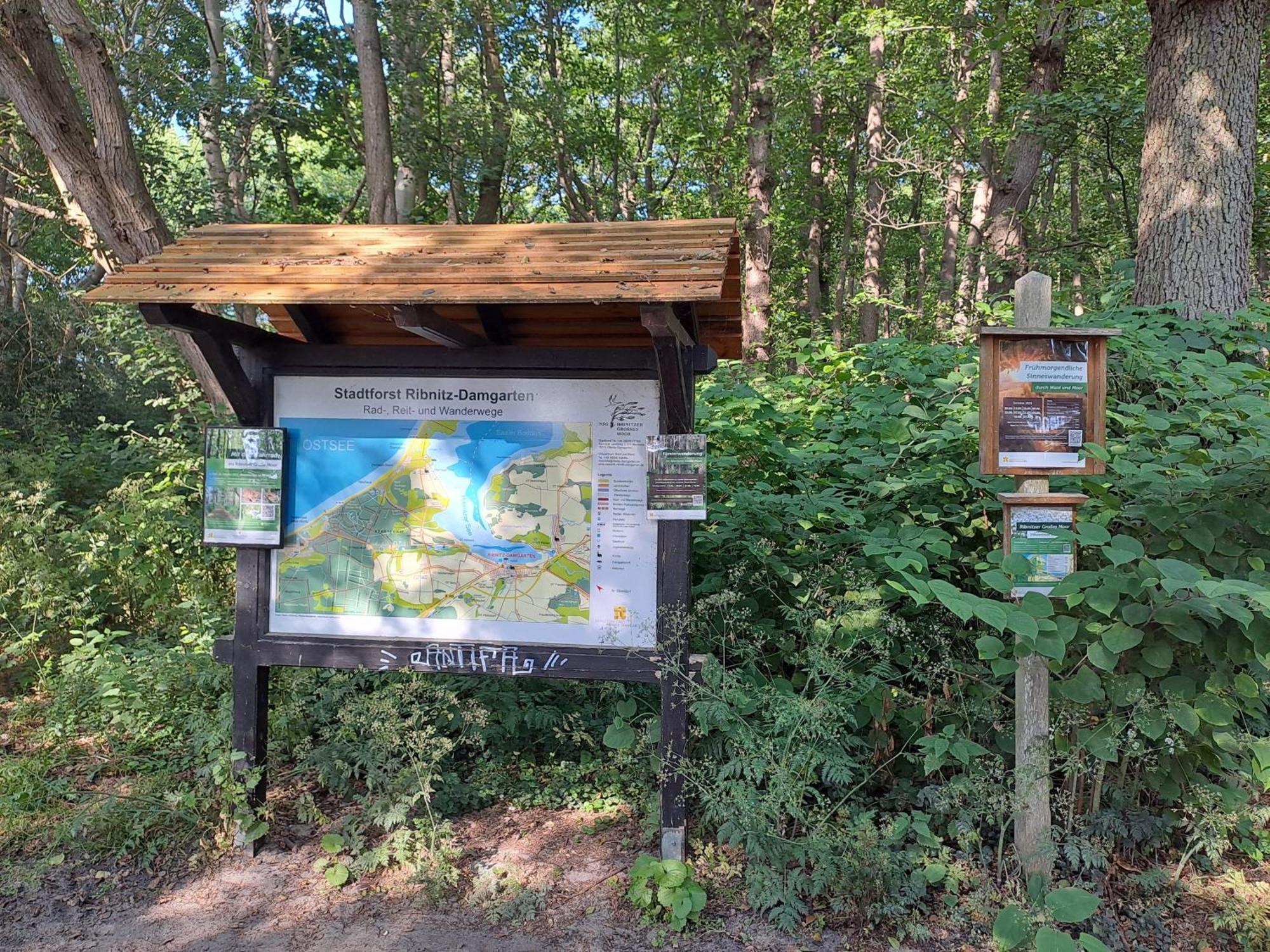 Ferienwohnung Fledermaus Gelbensande Kültér fotó